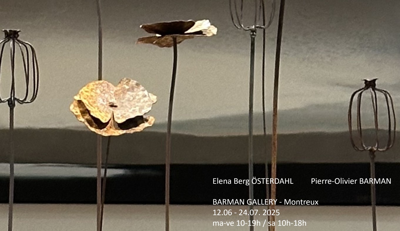 Pierre Olivier Barman - website